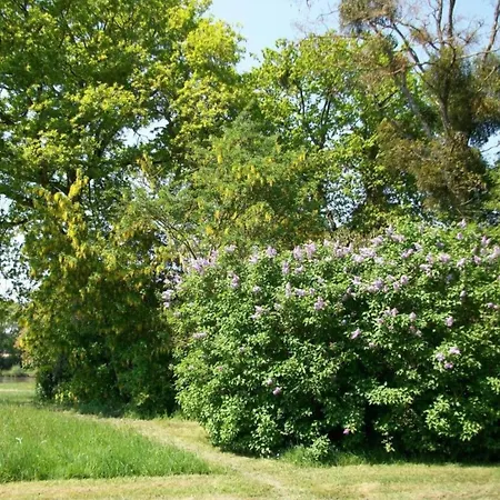 Charming Near Mayenne River, Cleaning Included *